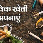 बजट से बदलेगी कृषि प्रधान समस्तीपुर में खेती की दिशा