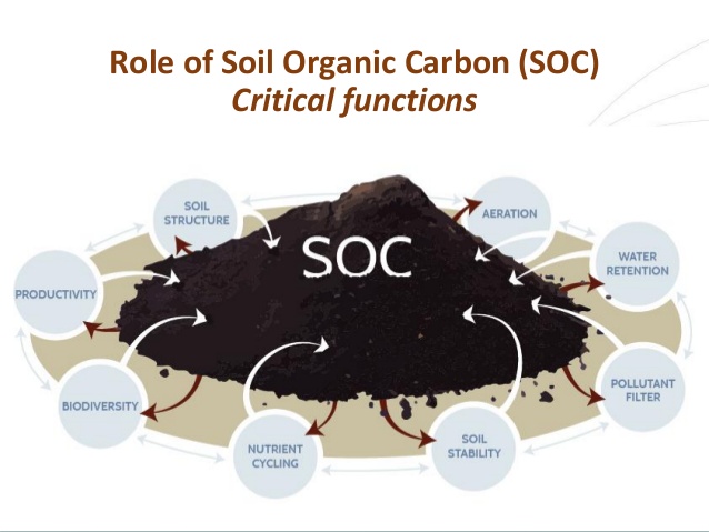 Read more about the article फसलों के लिए खतरा बनी मिट्टी में आर्गेनिक कार्बन की कमी