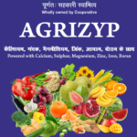 Agrizyp Organic NPK/ Bio DAP