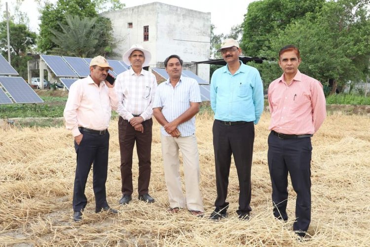 Read more about the article आईसीएआर, करनाल के भारतीय गेहूं और जौ अनुसंधान संस्थान द्वारा विकसित गेहूं की डीबीडब्ल्यू 327 (करण शिवानी) किस्म ने हरियाणा और पंजाब में उत्पादन के नए कीर्तिमान स्थापित किए हैं।